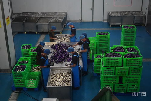 石泉富硒食品预制菜产业与五金产品制造协同发展 释放产业升级“加速度”